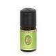 Cinnamon Bark Absolute