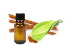 Cinnamon Oil