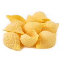 Shell pasta