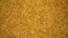 All Fibrous - Whole grain wheat, corn and rice with plum flavor
