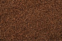 Chocolate rise