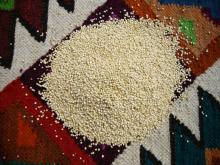 ORGANIC white quinoa of PERU