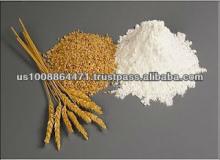  Dry   Wheat   Gluten 