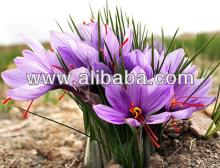 SAFFRON HIGH QUALITY IRANIAN SAFFRON