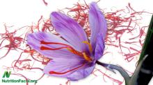 Spanish saffron