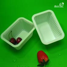 100% biodegradable corn starch disposable square plastic  food   container 