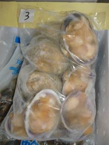  FROZEN  PURPLE WASHINGTON  CLAM ,HALF  SHELL 