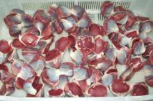 Halal  Frozen  Duck  Feet and  Duck  Gizzard for sale