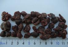 Dried Sugar-infused Raspberry
