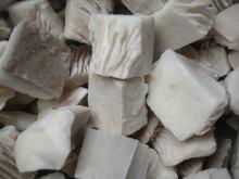 FROZEN IQF OYSTER MUSHROOM