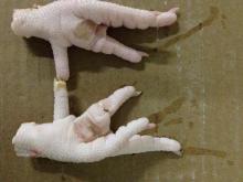 CHICKEN PAW