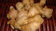 Ginger