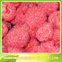 IQF Raspberry whole,frozen Raspberry, frozen mix berry,