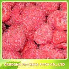 frozen raspberry whole jam