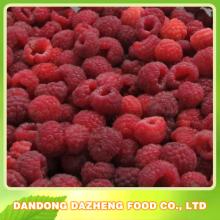 frozen raspberry beverage ice cream
