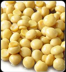 850g Sliced Mushrooms Export,Canned Food