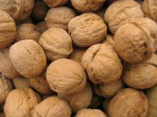 WALNUT IN  SHELL 