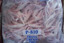 Grade A Frozen Chicken Feet and Frozen Chicken Paws