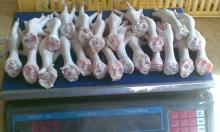 QUALITY GRADE A PROCESSED FROZEN CHICKEN FEET AND CHICKEN PAWS