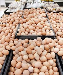 FRESH BROWN AND WHITE CHICKEN EGGS