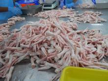 Halal Frozen Chicken Feet and Paws