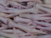 Quality Halal Frozen Chicken Feet and Paws at cheap Prices