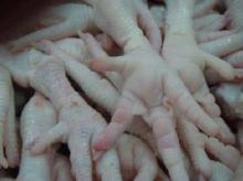 Top Quality Halal Frozen Chicken Feet and Paws at cheap Prices