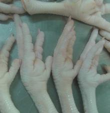 wholesale frozen chicken feet