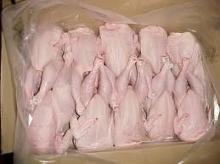 FROZEN  WHOLE   CHIKEN 