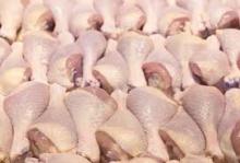  HALAL  FROZEN  CHICKEN  DRUMSTICK