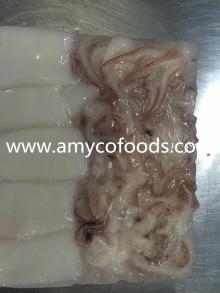 Loligo Squid(Loligo Chinensis) high quality
