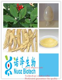 2%panax ginseng extract/ginseng extract