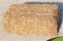Wheat Straws