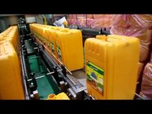  Edible   Palm   Oil 