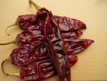 2014 new paprika pepper