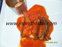canned pilchard in tomato sauce