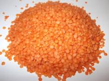  Red   Lentil s