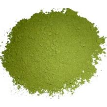 moringa