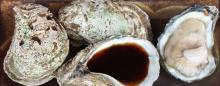  Apply  for Raw Oyster Concentrate for Restaurants
