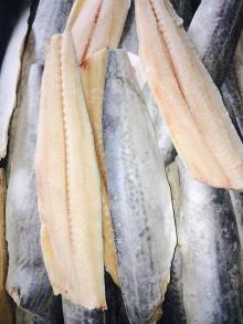 spanish mackerel fillets