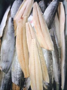  frozen   spanish   mackerel   fillet s