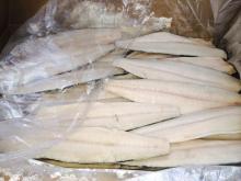 New best quality A grade or B grade scomberomorus mackerel fillets