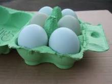 FARM FRESH CHICKEN  WHITE   SHELL  EGGS