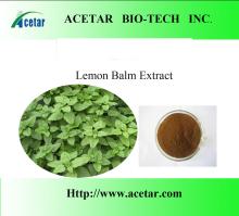  Lemon  balm  Extract   Powder 