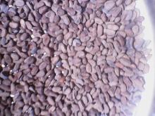 Pepper  fruit   seed s (Dennettia tripetala)
