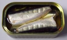 125g Best Canned Sardines Healthy in  Plant   Oil 