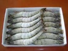 Frozen Black Tiger Shrimps HOSO