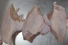 Frozen Boneless chicken breast