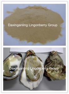 Oyster  Meat  Extract Powder, 100% Natural,  Factory  Price