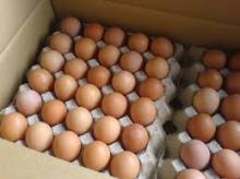  Brown   Eggs 
